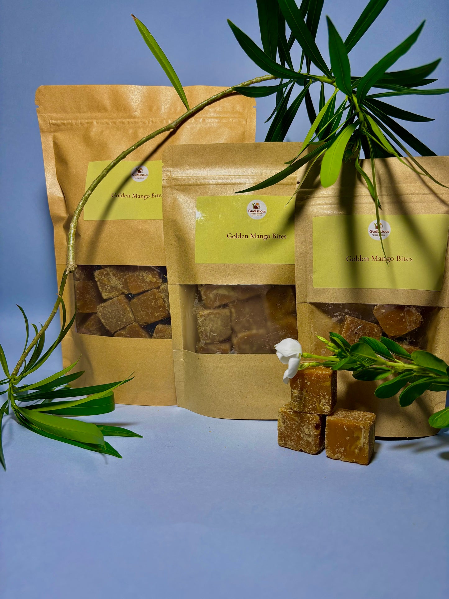 Golden Mango Bites – A naturally sweet and tangy treat made from real sun-dried mango and jaggery.